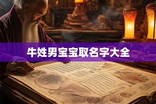 牛姓男宝宝取名字大全