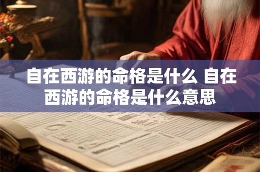自在西游的命格是什么 自在西游的命格是什么意思 自在西游的命格是什么 自在西游的命格是什么意思