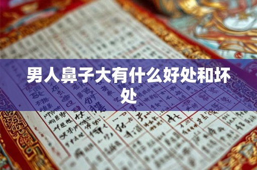 男人鼻子大有什么好处和坏处 男人鼻子大有什么好处和坏处