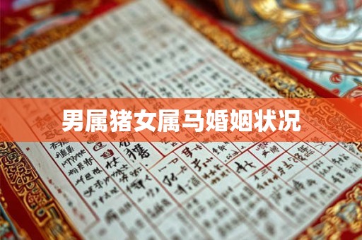 男属猪女属马婚姻状况 男属猪女属马婚姻状况