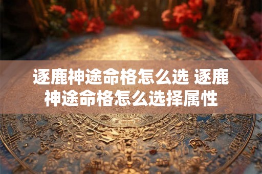 逐鹿神途命格怎么选 逐鹿神途命格怎么选择属性