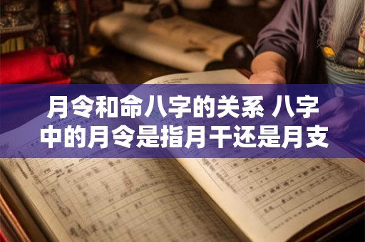 月令和命八字的关系 八字中的月令是指月干还是月支