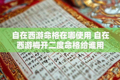 自在西游命格在哪使用 自在西游梅开二度命格给谁用