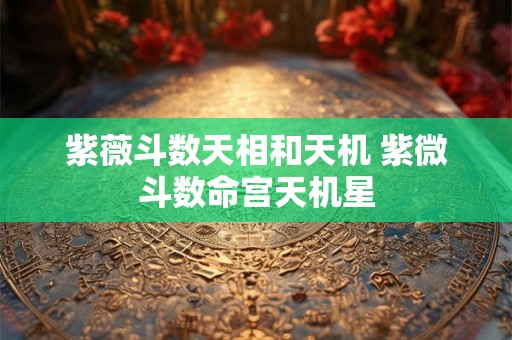 紫薇斗数天相和天机 紫微斗数命宫天机星
