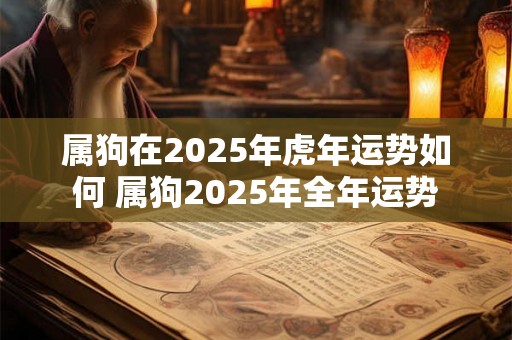 属狗在2025年虎年运势如何 属狗2025年全年运势 属狗在2025年虎年运势如何 属狗2025年全年运势