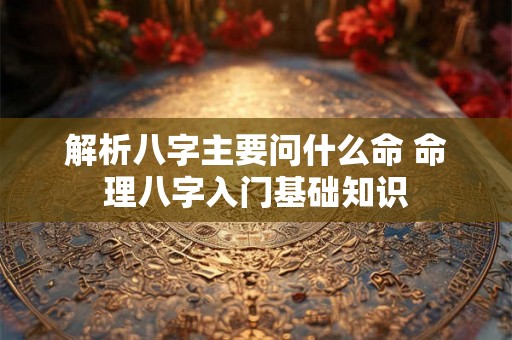解析八字主要问什么命 命理八字入门基础知识