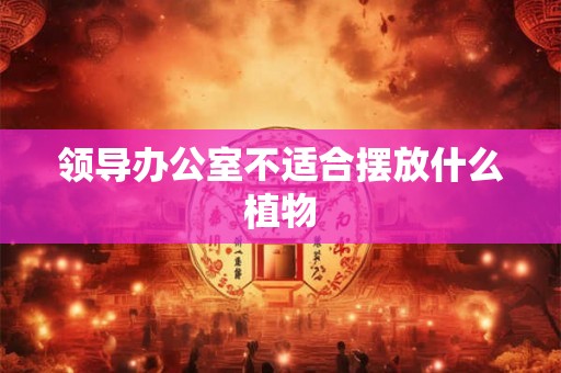 领导办公室不适合摆放什么植物