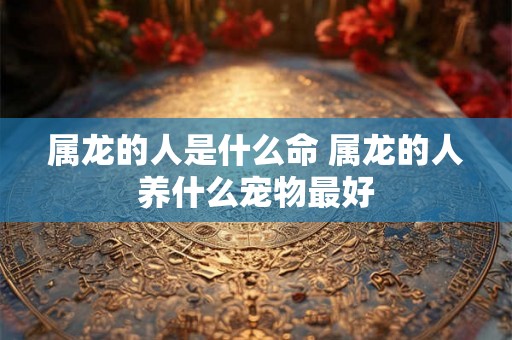 属龙的人是什么命 属龙的人养什么宠物最好