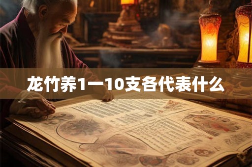 龙竹养1一10支各代表什么 龙竹养1一10支各代表什么