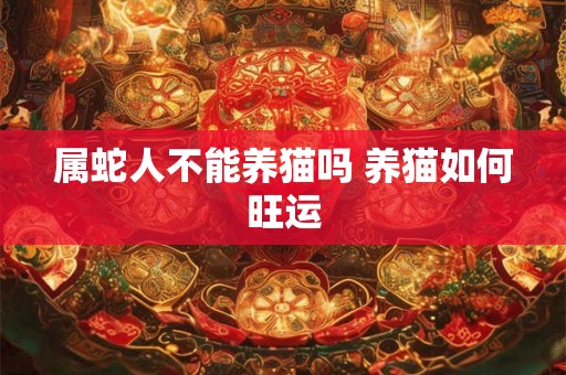 属蛇人不能养猫吗 养猫如何旺运