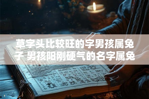 草字头比较旺的字男孩属兔子 男孩阳刚硬气的名字属兔 草字头比较旺的字男孩属兔子 男孩阳刚硬气的名字属兔