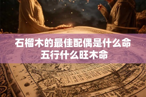 石榴木的最佳配偶是什么命 五行什么旺木命 石榴木的最佳配偶是什么命 五行什么旺木命