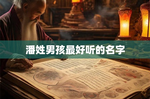 潘姓男孩最好听的名字 潘姓男孩最好听的名字