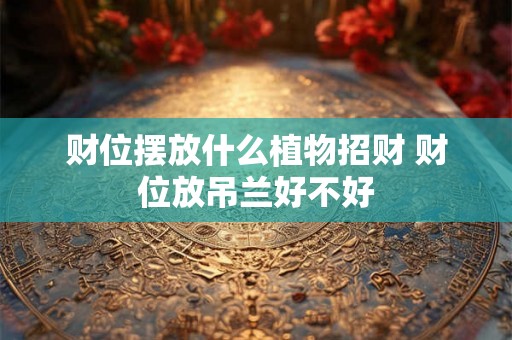 财位摆放什么植物招财 财位放吊兰好不好 财位摆放什么植物招财 财位放吊兰好不好