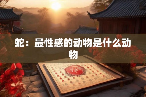 蛇:最性感的动物是什么动物 蛇:最性感的动物是什么动物