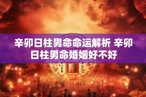 辛卯日柱男命命运解析 辛卯日柱男命婚姻好不好 辛卯日柱男命命运解析 辛卯日柱男命婚姻好不好