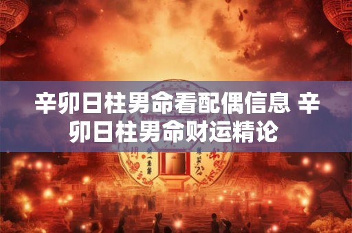 辛卯日柱男命看配偶信息 辛卯日柱男命财运精论 