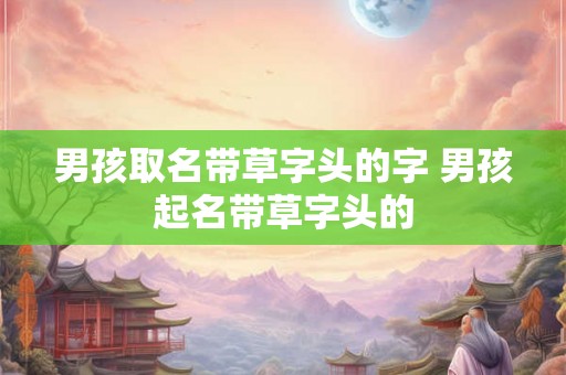 男孩取名带草字头的字 男孩起名带草字头的 男孩取名带草字头的字 男孩起名带草字头的
