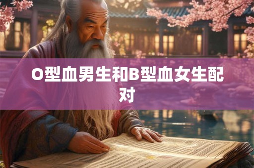 O型血男生和B型血女生配对