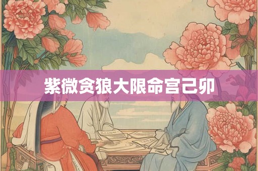 紫微贪狼大限命宫己卯 紫微贪狼大限命宫己卯