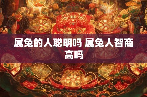 属兔的人聪明吗 属兔人智商高吗 属兔的人聪明吗 属兔人智商高吗