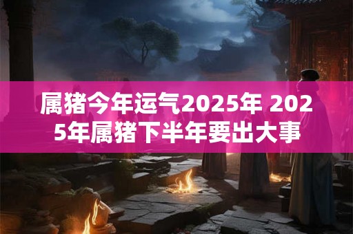 属猪今年运气2025年 2025年属猪下半年要出大事 属猪今年运气2025年 2025年属猪下半年要出大事