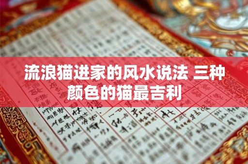 流浪猫进家的风水说法 三种颜色的猫最吉利
