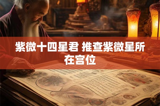 紫微十四星君 推查紫微星所在宫位 紫微十四星君 推查紫微星所在宫位