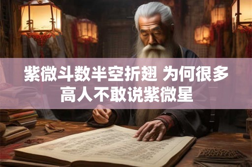 紫微斗数半空折翅 为何很多高人不敢说紫微星 紫微斗数半空折翅 为何很多高人不敢说紫微星