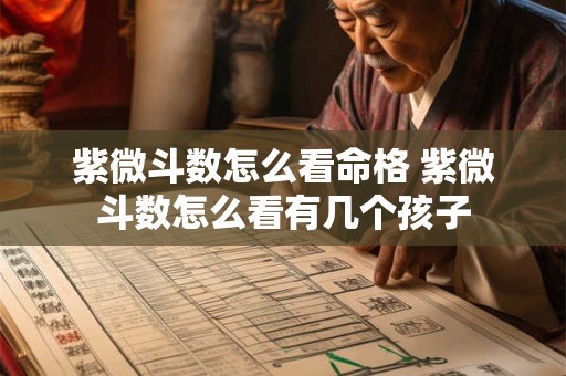 紫微斗数怎么看命格 紫微斗数怎么看有几个孩子