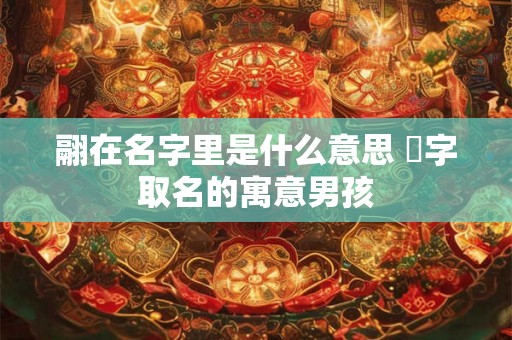 翮在名字里是什么意思 珝字取名的寓意男孩 翮在名字里是什么意思 珝字取名的寓意男孩