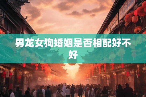 男龙女狗婚姻是否相配好不好 男龙女狗婚姻是否相配好不好