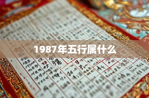 1987年五行属什么 1987年五行属什么