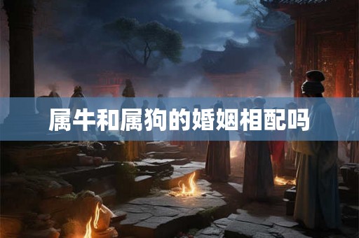 属牛和属狗的婚姻相配吗 属牛和属狗的婚姻相配吗