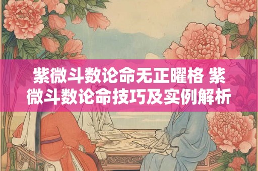 紫微斗数论命无正曜格 紫微斗数论命技巧及实例解析 紫微斗数论命无正曜格 紫微斗数论命技巧及实例解析