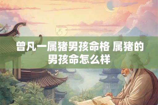 曾凡一属猪男孩命格 属猪的男孩命怎么样