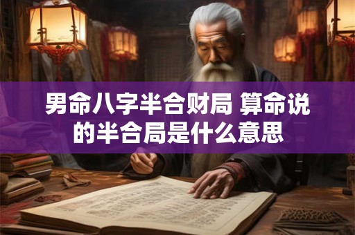 男命八字半合财局 算命说的半合局是什么意思 男命八字半合财局 算命说的半合局是什么意思