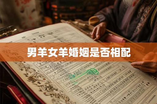 男羊女羊婚姻是否相配 男羊女羊婚姻是否相配