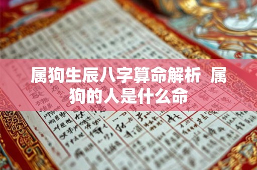 属狗生辰八字算命解析 属狗的人是什么命 属狗生辰八字算命解析 属狗的人是什么命