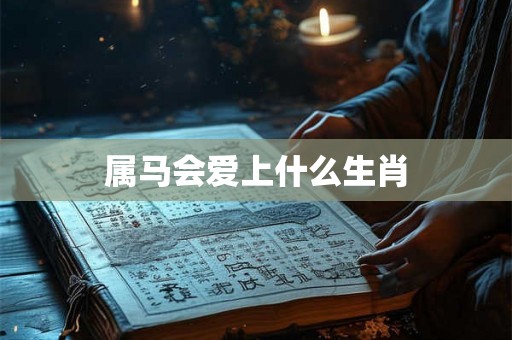 属马会爱上什么生肖