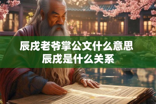 辰戌老爷掌公文什么意思 辰戌是什么关系 辰戌老爷掌公文什么意思 辰戌是什么关系