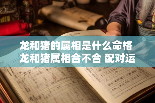 龙和猪的属相是什么命格 龙和猪属相合不合 配对运势怎么样 龙和猪的属相是什么命格 龙和猪属相合不合 配对运势怎么样