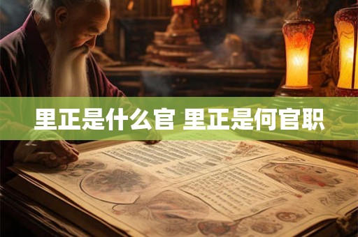 里正是什么官 里正是何官职 里正是什么官 里正是何官职