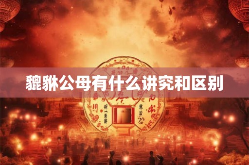貔貅公母有什么讲究和区别