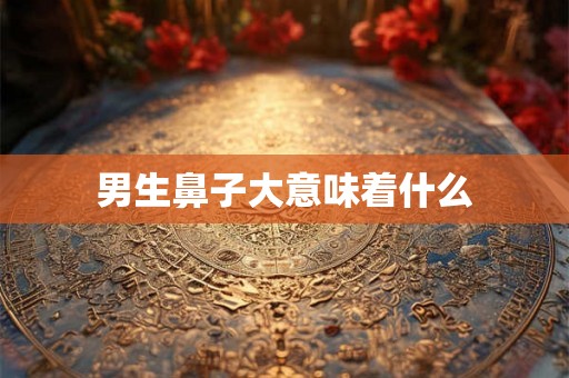 男生鼻子大意味着什么 男生鼻子大意味着什么