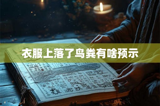 衣服上落了鸟粪有啥预示 衣服上落了鸟粪有啥预示