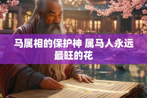 马属相的保护神 属马人永远最旺的花 马属相的保护神 属马人永远最旺的花