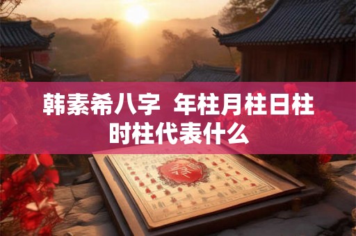 韩素希八字 年柱月柱日柱时柱代表什么 韩素希八字 年柱月柱日柱时柱代表什么