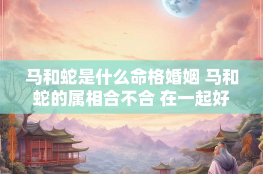 马和蛇是什么命格婚姻 马和蛇的属相合不合 在一起好吗 马和蛇是什么命格婚姻 马和蛇的属相合不合 在一起好吗