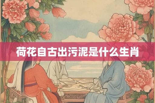 荷花自古出污泥是什么生肖